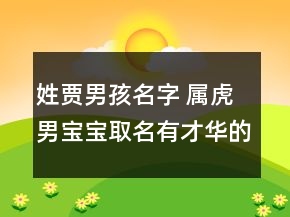 姓賈男孩名字 屬虎男寶寶取名有才華的