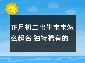 正月初二出生寶寶怎么起名 獨特稀有的名字
