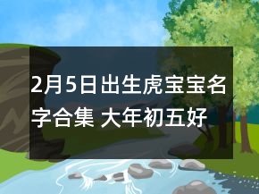 2月5日出生虎寶寶名字合集 大年初五好名字
