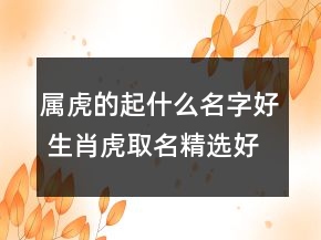 屬虎的起什么名字好 生肖虎取名精選好聽順口