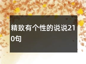 精致有個性的說說210句