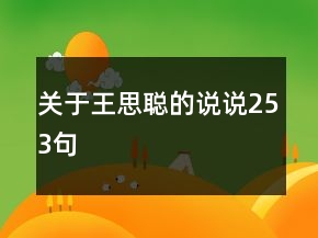 關(guān)于王思聰?shù)恼f說253句