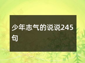 少年志氣的說(shuō)說(shuō)245句