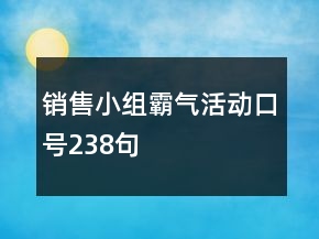銷售小組霸氣活動口號238句