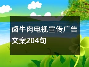鹵牛肉電視宣傳廣告文案204句