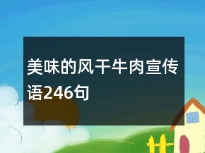 美味的風(fēng)干牛肉宣傳語(yǔ)246句