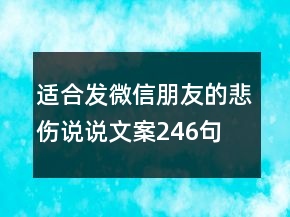 適合發(fā)微信朋友的悲傷說說文案246句