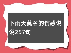 下雨天莫名的傷感說說257句