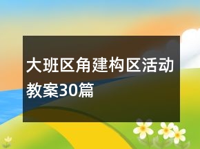 大班區(qū)角建構(gòu)區(qū)活動教案30篇