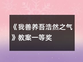 《我善養(yǎng)吾浩然之氣》教案一等獎