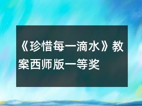 《珍惜每一滴水》教案西師版一等獎(jiǎng)