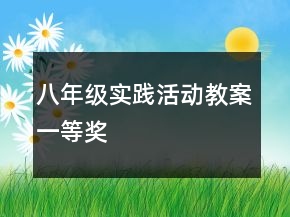 八年級實踐活動教案一等獎