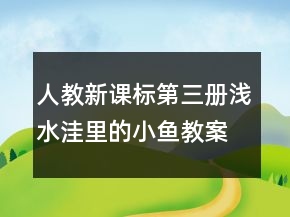 人教新課標(biāo)第三冊：淺水洼里的小魚教案一等獎