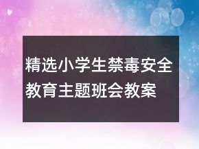 精選小學(xué)生禁毒安全教育主題班會(huì)教案一等獎(jiǎng)