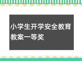 小學生開學安全教育教案一等獎