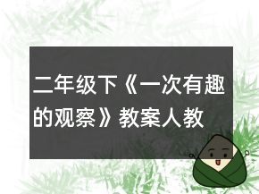 二年級(jí)下《一次有趣的觀察》教案（人教版）一等獎(jiǎng)
