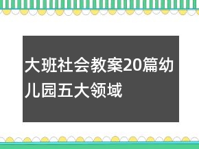 大班社會教案20篇幼兒園五大領域