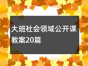 大班社會領(lǐng)域公開課教案20篇