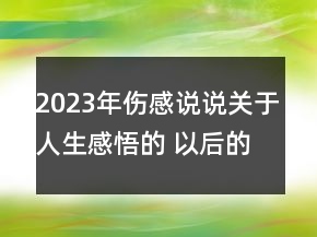 2023年傷感說(shuō)說(shuō)關(guān)于人生感悟的 以后的日子你慢慢走93句