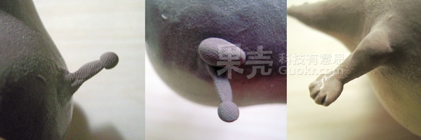 黏土手工DIY肥胖版動物世界 -  www.rpnrmr.com