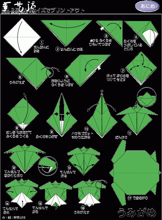 綠毛龜折紙方法 -  www.rpnrmr.com