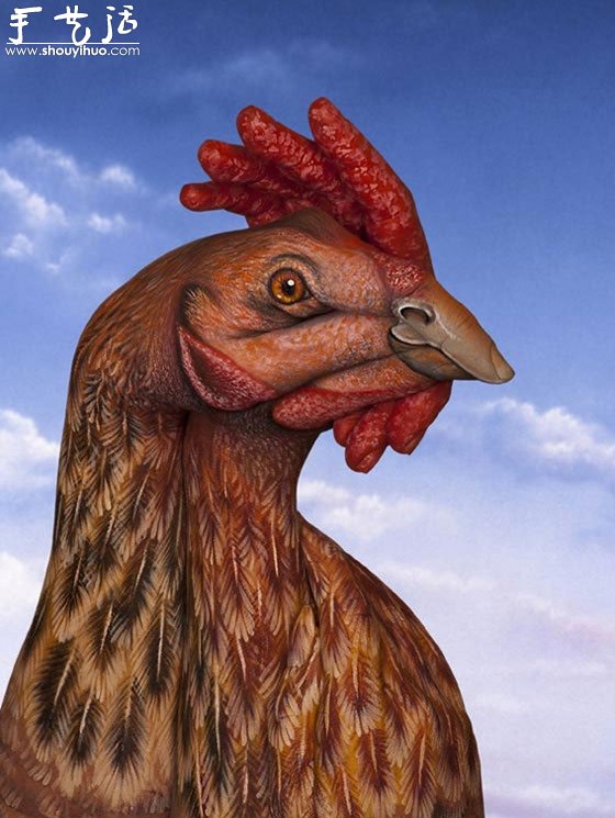 Guido Daniele的絕美動物手繪 -  www.rpnrmr.com