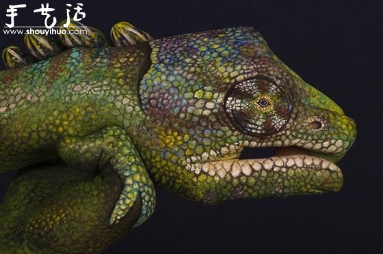 Guido Daniele的絕美動物手繪 -  www.rpnrmr.com