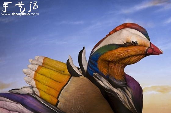 Guido Daniele的絕美動物手繪 -  www.rpnrmr.com