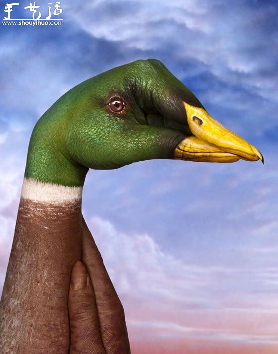 Guido Daniele的絕美動物手繪 -  www.rpnrmr.com