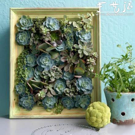 真正植物畫(huà)框DIY方法 -  www.rpnrmr.com