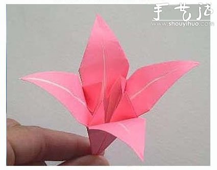 漂亮的百合花折紙教程 -  www.rpnrmr.com