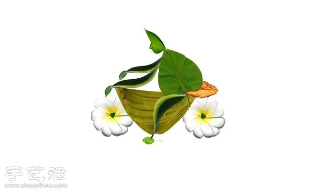 樹葉+創(chuàng)意 DIY精美逼真拼貼畫 -  www.rpnrmr.com