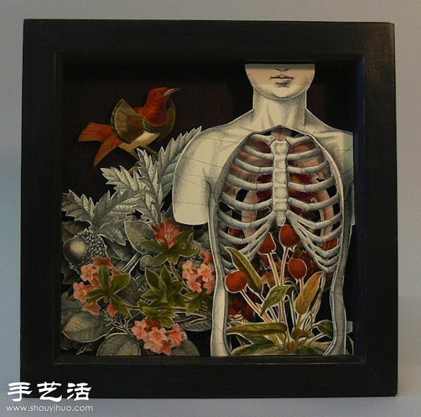 百科全書DIY神奇的紙雕作品 -  www.rpnrmr.com