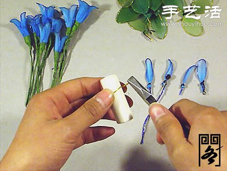 絲襪花矢車草的制作方法 -  www.rpnrmr.com