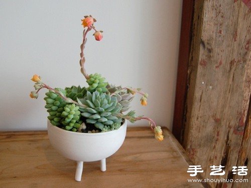 裝飾現(xiàn)代風(fēng)格家居的10款創(chuàng)意花盆盆栽 -  www.rpnrmr.com
