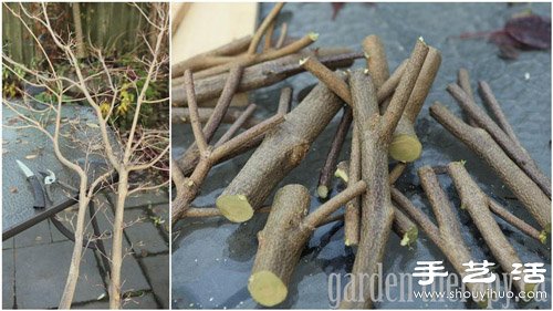 樹枝+木板 手工制作環(huán)保掛衣架 -  www.rpnrmr.com