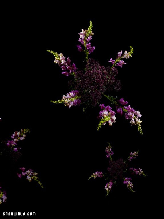 Flowerwork 德國藝術(shù)家設(shè)計(jì)的花朵煙花 -  www.rpnrmr.com