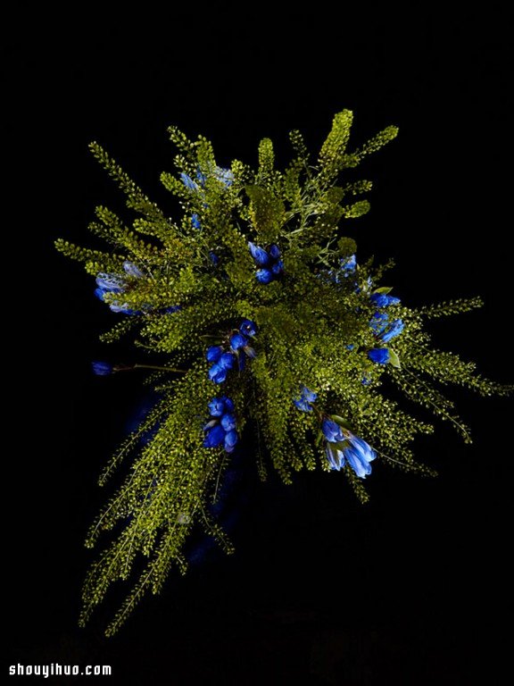 Flowerwork 德國藝術(shù)家設(shè)計(jì)的花朵煙花 -  www.rpnrmr.com