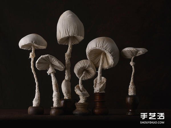 女工高手“雀鳥先生” 縫紉出森林系真菌布雕 -  www.rpnrmr.com