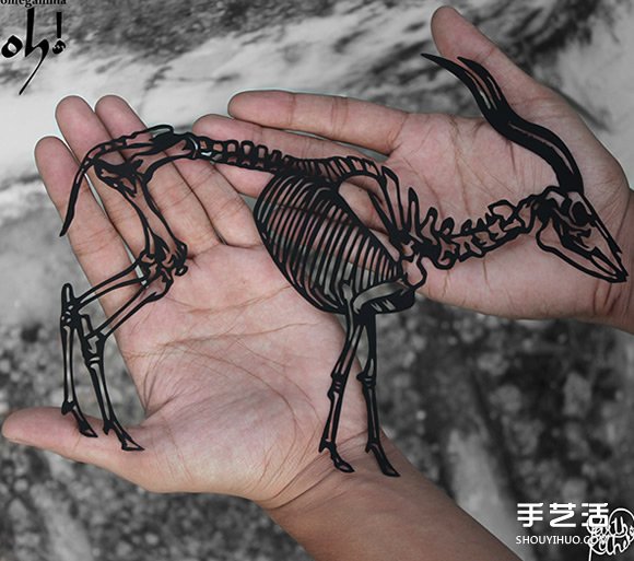 精致到令人驚嘆的剪紙藝術(shù) 連羽毛都能躍然紙上 -  www.rpnrmr.com