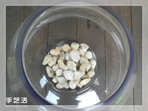 密封玻璃容器盆景DIY 幾乎不要澆水和施肥 -  www.rpnrmr.com