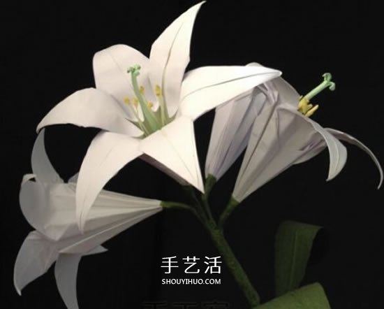 紙百合花的折法圖解 折百合花的方法步驟 -  www.rpnrmr.com