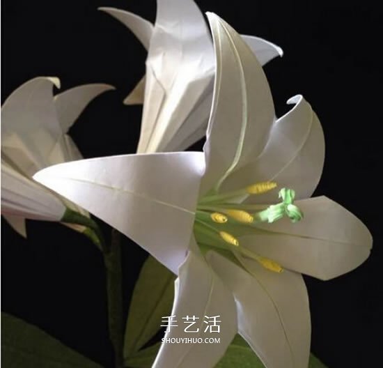 紙百合花的折法圖解 折百合花的方法步驟 -  www.rpnrmr.com