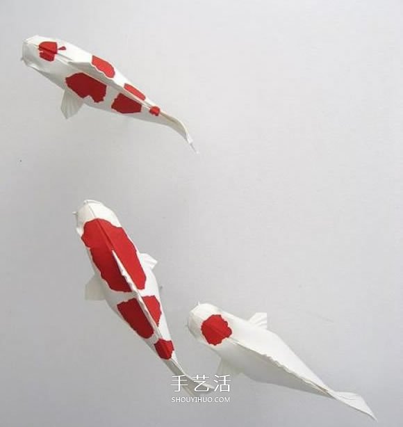 錦鯉魚(yú)的折法步驟圖 折紙錦鯉的方法圖解 -  www.rpnrmr.com