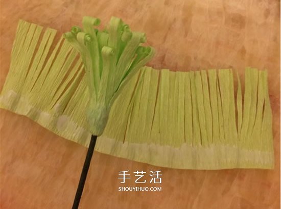 重陽節(jié)紙菊花的做法 皺紋紙手工制作菊花圖解 -  www.rpnrmr.com