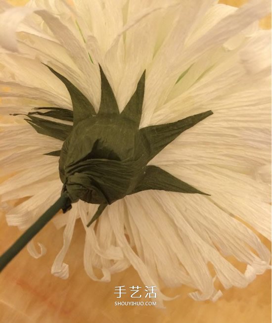 重陽節(jié)紙菊花的做法 皺紋紙手工制作菊花圖解 -  www.rpnrmr.com
