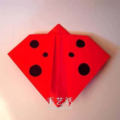 七星瓢蟲(chóng)的折法圖片 幼兒學(xué)折瓢蟲(chóng)的簡(jiǎn)易教程 -  www.rpnrmr.com