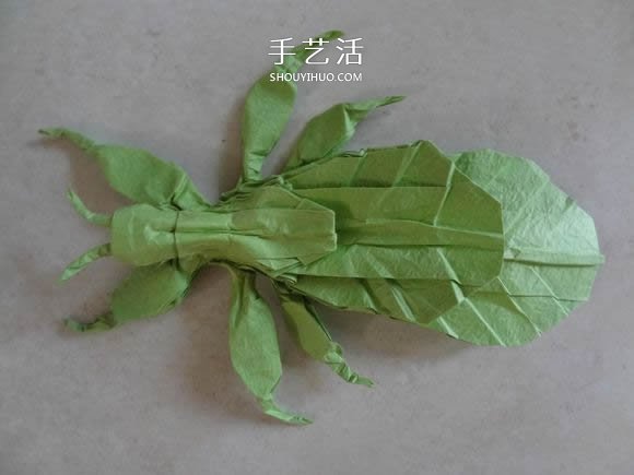葉蟲的折紙方法圖解 如何折葉子蟲的步驟圖 -  www.rpnrmr.com