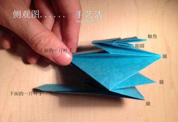 葉蟲的折紙方法圖解 如何折葉子蟲的步驟圖 -  www.rpnrmr.com