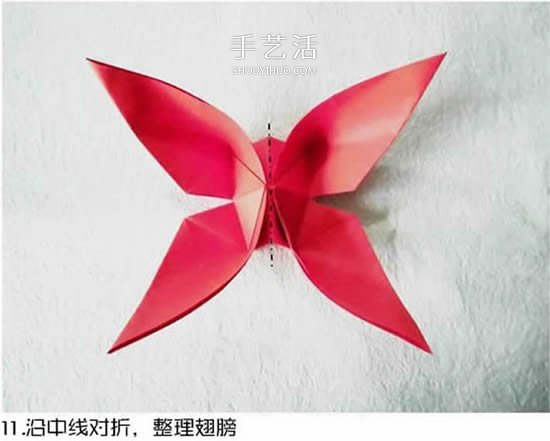 體型最大的蝴蝶 美麗鳳尾蝶的折紙方法圖解 -  www.rpnrmr.com
